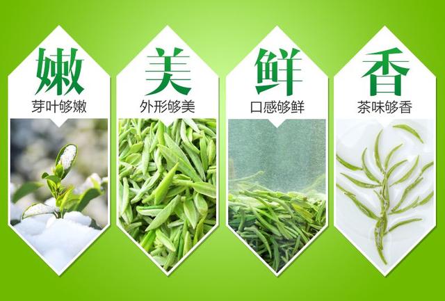 桂平西山茶是什么茶，桂平西山茶属于什么茶（广西的名茶你知道几个呢）