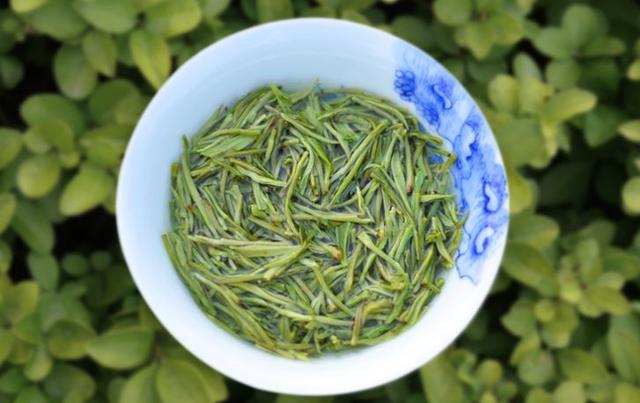 桂平西山茶是什么茶，桂平西山茶属于什么茶（广西的名茶你知道几个呢）