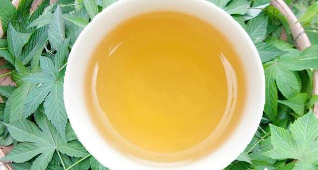 桂平西山茶是什么茶，桂平西山茶属于什么茶（广西的名茶你知道几个呢）