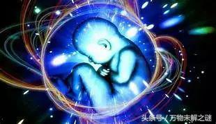 轮回是什么意思（轮回也许真的存在）