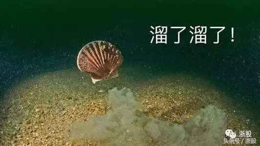 吴小晖三次婚宴，吴小晖的三任妻子是谁（2018股市春晚）