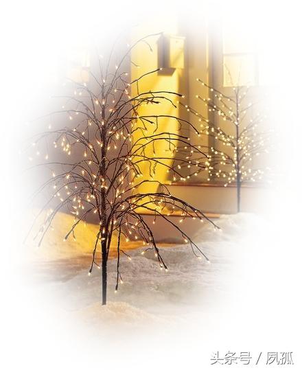 又老了一岁的唯美句子，关于又长大了一岁的唯美句子（致自己；又老了一岁！）