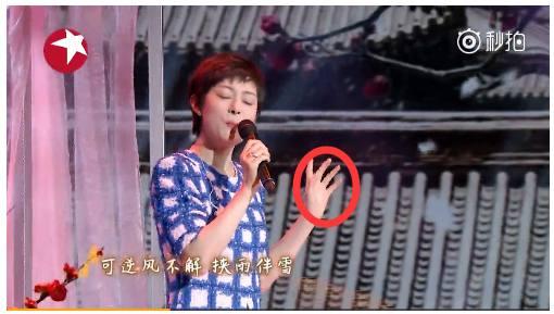 孙俪春晚唱的歌，孙俪春晚歌曲唱的是什么（网友：是不是假唱一目了然）
