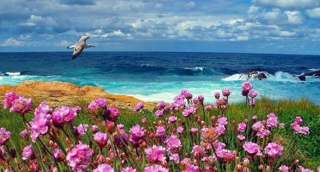 巨蟹女的致命魅力，巨蟹座女生致命魅力（吸引力直达心间的3个星座女）