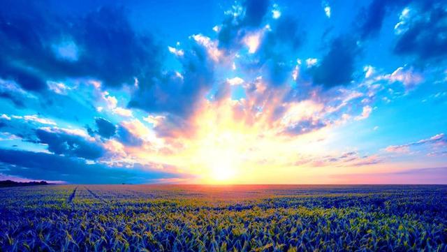 巨蟹女的致命魅力，巨蟹座女生致命魅力（吸引力直达心间的3个星座女）