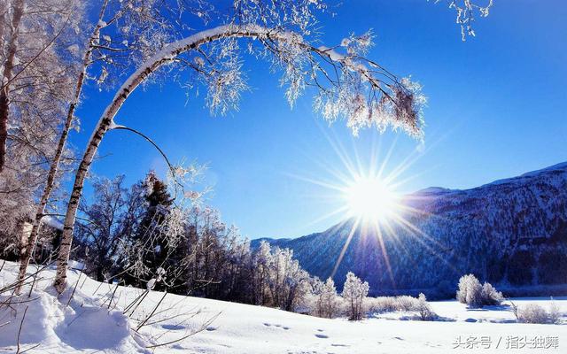 烟竹网名，烟竹微信昵称（雪和梅的雅称你知道吗）