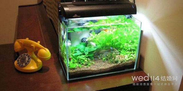 鱼缸放在家里哪个位置风水最好，鱼缸放在哪里好风水（鱼缸与风水注意事项）
