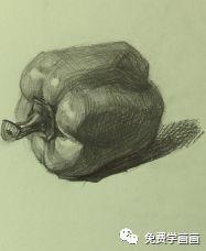 怎样画儿童简笔画青椒，青椒简笔画图片大全大图（一步一步免费教你画青椒）