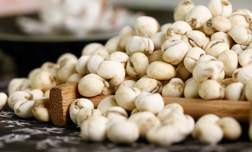 青贝的功效与作用有哪些，川贝粉的功效与作用