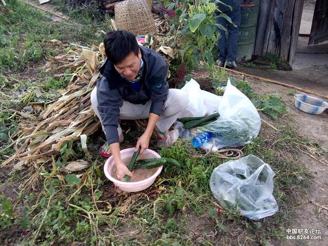洛克王国的轻风山在哪，洛克王国轻风山在哪（五天路程三天半超额走完~风景独步）