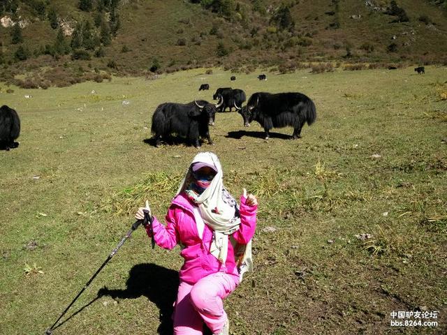 洛克王国的轻风山在哪，洛克王国轻风山在哪（五天路程三天半超额走完~风景独步）