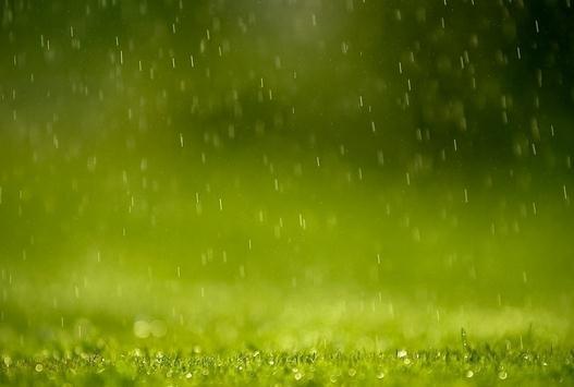 描写春雨的句子，描写春雨的唯美押韵句子（优美句子描写初春景色）