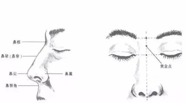 美宝莲纽约光影修容粉好用吗，美宝莲纽约光影修容粉好用吗知乎（素颜的Baby暴露了这里）