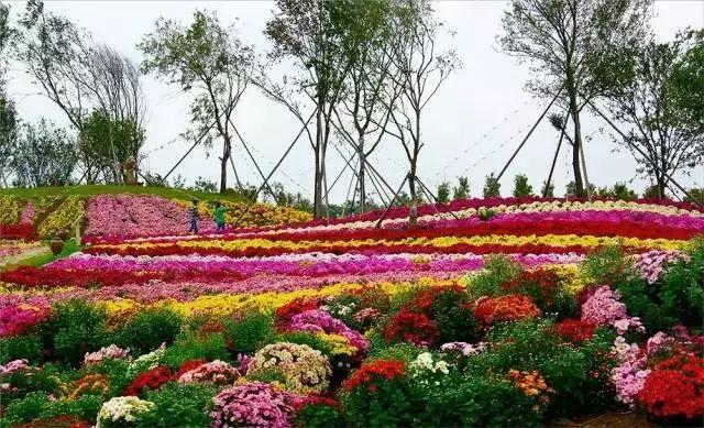 唯美清新淑女风的女生图片大全 等侍下一场樱雨ぅ，小清新图片唯美简约 女生 可爱（美若仙境·····错过就要再等一年啦）