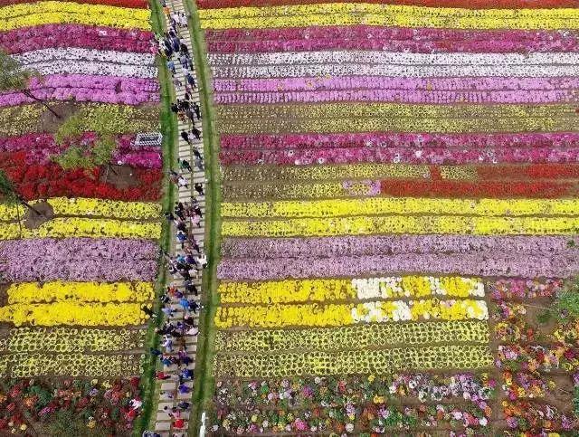 唯美清新淑女风的女生图片大全 等侍下一场樱雨ぅ，小清新图片唯美简约 女生 可爱（美若仙境·····错过就要再等一年啦）