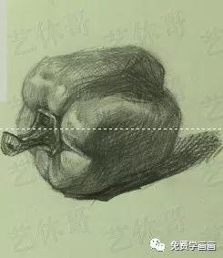 怎样画儿童简笔画青椒，青椒简笔画图片大全大图（一步一步免费教你画青椒）