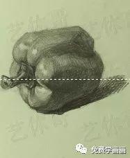 怎样画儿童简笔画青椒，青椒简笔画图片大全大图（一步一步免费教你画青椒）