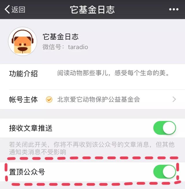 小丑鱼歌简介，小丑鱼歌词（厉害了，我的女神！）
