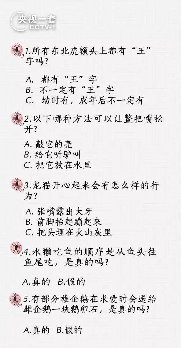 老虎头上为什么有王字，为什么老虎有王字（所有东北虎额头上都有“王”字吗）