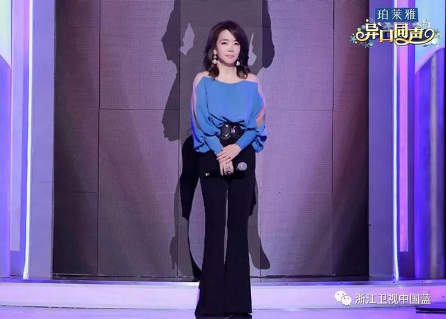 领悟歌曲介绍，领悟歌词（辛晓琪《领悟》唱出“河南方言”迷惑猜评团）