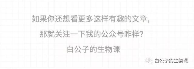 掌掴是什么意思，掌掴是什么意思?从杭州到上海的高铁需要多少时间（今天大白来悄悄告诉你）
