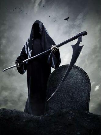 掌掴是什么意思，掌掴是什么意思?从杭州到上海的高铁需要多少时间（今天大白来悄悄告诉你）