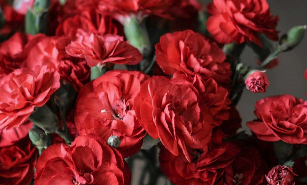 男生说cc是什么意思，网络语cc是什么意思（男朋友给我备注十三是什么意思）