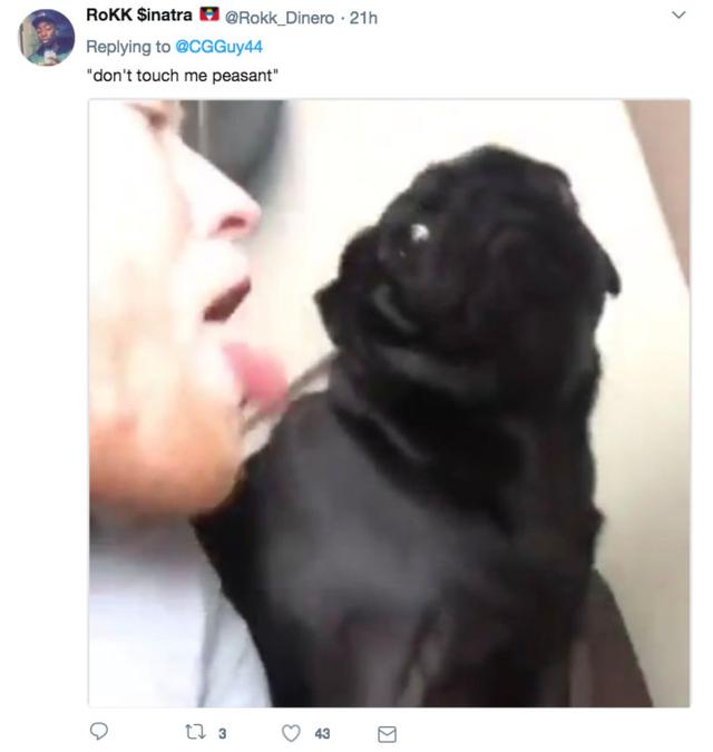 国际男人节 11月19日，男人节育影响性功能吗（全球男人的心态是这样的）