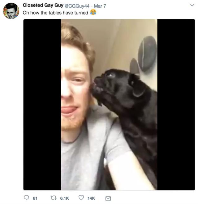 国际男人节 11月19日，男人节育影响性功能吗（全球男人的心态是这样的）