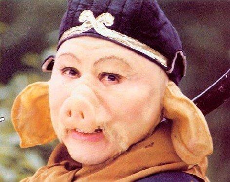 老马识途有经验是什么生肖，老马识途指什么生肖啊（十二生肖不为人知的优缺点）