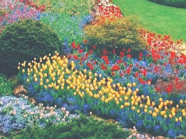 和煦的微风（是你耳边和煦的微风）