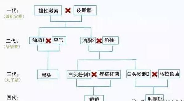 黑头和白头的区别，怎样区别角栓、黑头、白头、粉刺（黑头、白头、痘痘、粉刺）