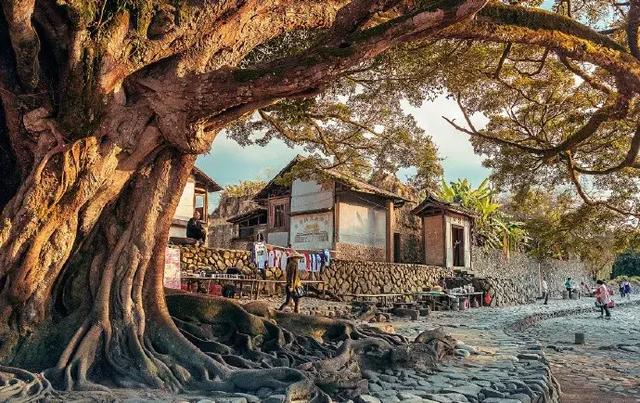 借月思乡的诗句,借月思乡的诗句有哪些(十首思乡诗词,送给在他乡的你) 借月思乡的诗句,借月思乡的诗句有哪些(十首思乡诗词,送给在他乡的你)