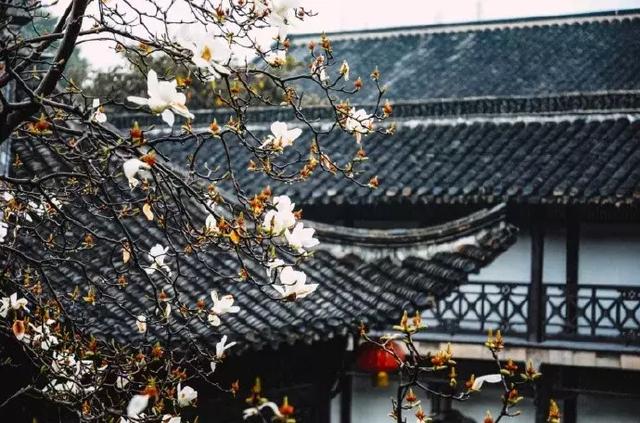 借月思乡的诗句,借月思乡的诗句有哪些(十首思乡诗词,送给在他乡的你) 借月思乡的诗句,借月思乡的诗句有哪些(十首思乡诗词,送给在他乡的你)