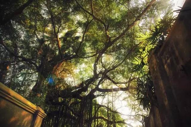 借月思乡的诗句,借月思乡的诗句有哪些(十首思乡诗词,送给在他乡的你) 借月思乡的诗句,借月思乡的诗句有哪些(十首思乡诗词,送给在他乡的你)