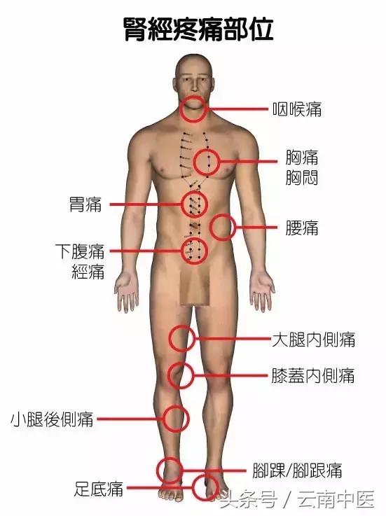 经络不通是怎么造成的，经络不通影响性功能吗（就可能是哪里的经络出问题了）