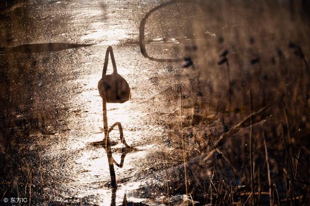 十二星座心疼自己的瞬间，十二星座心疼你的表现（12星座们心疼自己的瞬间）