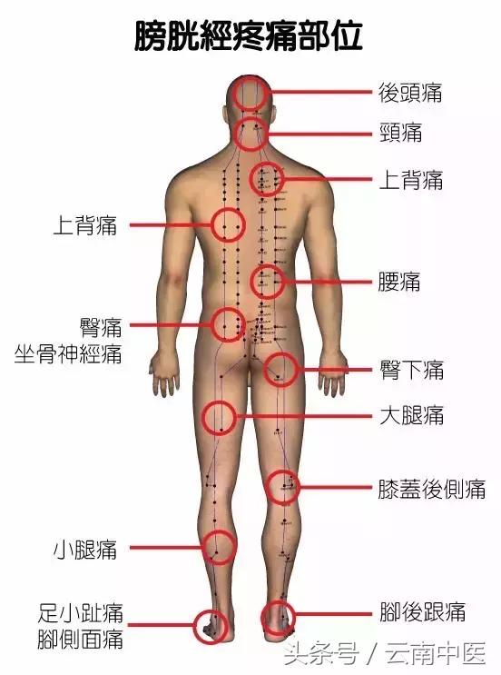 经络不通是怎么造成的，经络不通影响性功能吗（就可能是哪里的经络出问题了）