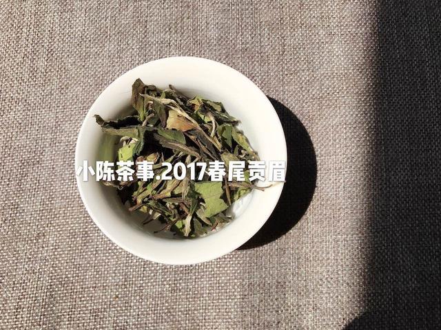 明前茶和雨前茶的区别，龙井明前新茶和雨前新茶有什么区别（一篇文章教你理清春茶、头春茶、明前茶、雨前茶的区别）