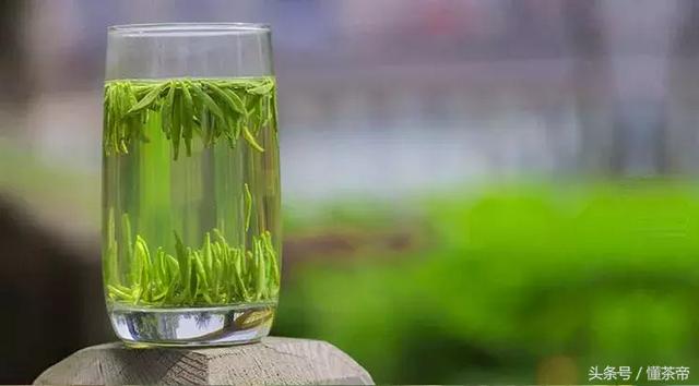 雀舌是什么茶型,雀舌是什么茶型的茶叶(雀舌到底是什么茶) 雀舌是什么茶型,雀舌是什么茶型的茶叶(雀舌到底是什么茶)