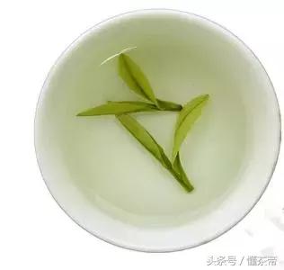 雀舌是什么茶型,雀舌是什么茶型的茶叶(雀舌到底是什么茶) 雀舌是什么茶型,雀舌是什么茶型的茶叶(雀舌到底是什么茶)