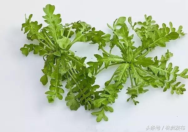 荠菜的荠怎么读，荠菜的荠的读音（可这些植物名99%的人都会读错）