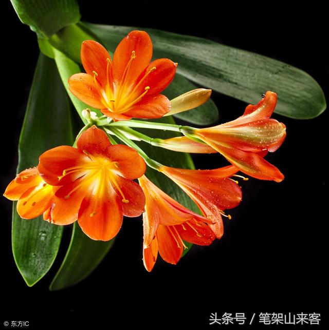 燥动，是许多祸患的祖宗，燥动和躁动是什么意思