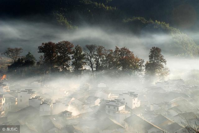 梦见捡到钱是什么意思，梦见捡钱是什么意思周公解梦（你有梦过捡钱或掉牙吗）