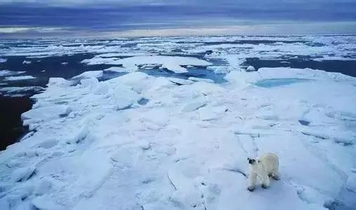 breach charge，breach是什么意思（2018年1、2月份热词回顾丨中英对照）