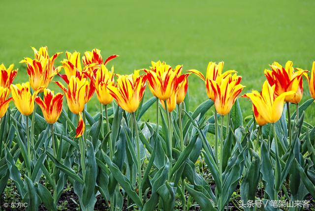 燥动，是许多祸患的祖宗，燥动和躁动是什么意思