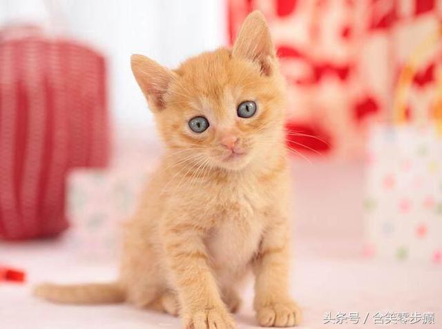 见人就笑猜一字，猜一字谜语（脑筋急转弯：痞子得满分）