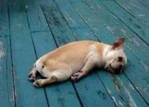 呸去掉口是什么字，带有口字旁的字有哪些口字旁的字（广州人会说不会写的315个粤语字）