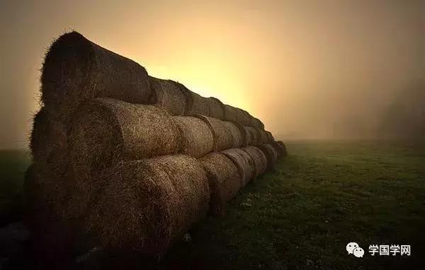 大智若愚是什么意思，大智若愚，并不委屈人（韬光养晦,大智若愚是什么意思）