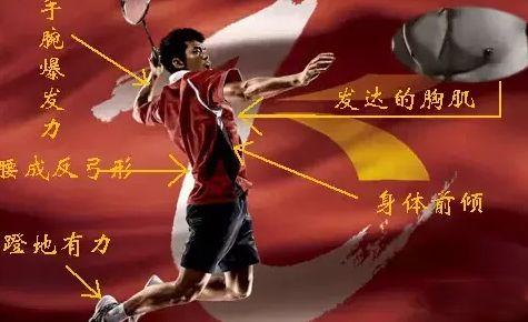 羽毛球规则图解，羽毛球规则图解完整版（这些原则我们必须牢记心间）